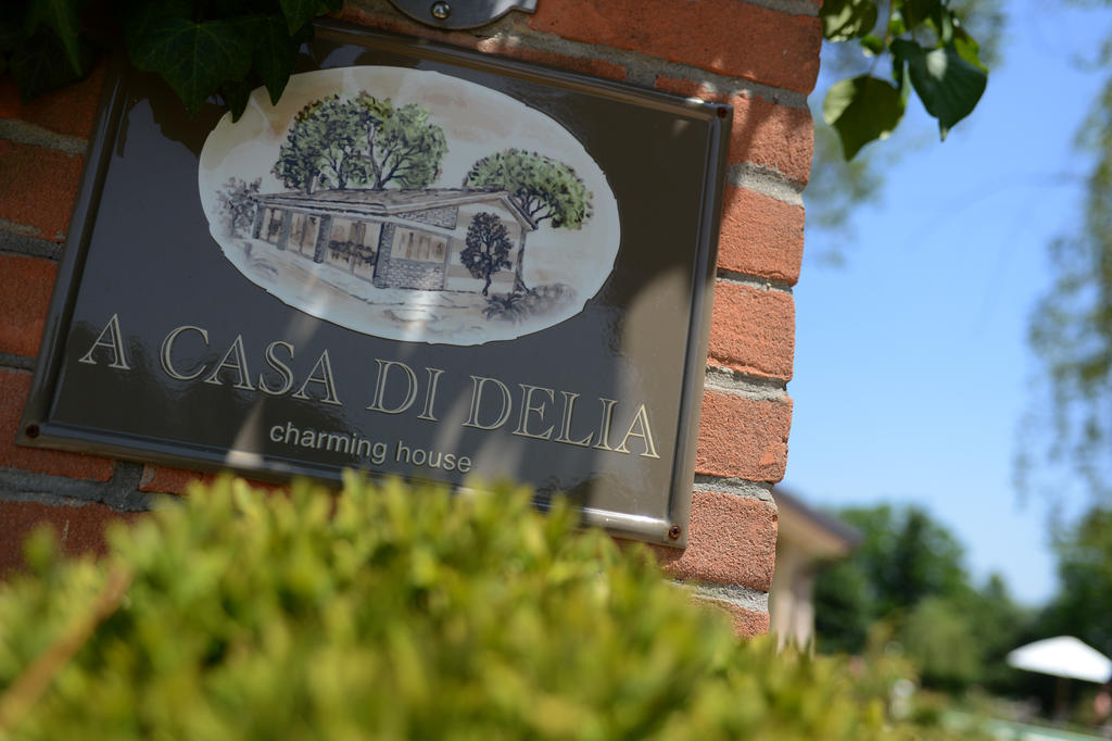 A Casa Di Delia B&B Charming House Sant'Elena di Silea ภายนอก รูปภาพ